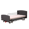 Electric 5-function Home Care Bed CF-5098DG