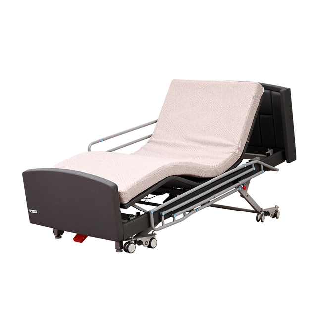 Electric 5-function Home Care Bed CF-5098DG
