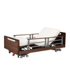 Electric 5-Function Smart Bed CF-5096WD