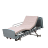  Smart Home Care Bed with Massage Function CF-5099GN 