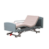  Smart Home Care Bed with Massage Function CF-5099GN 